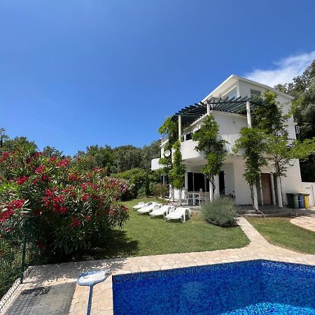 Green Villa In Olives Бар Екстер'єр фото