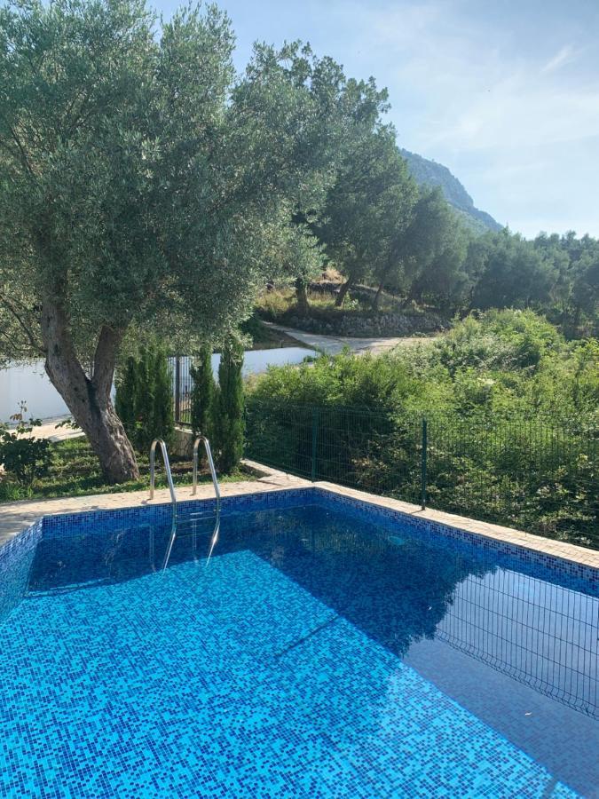 Green Villa In Olives Бар Екстер'єр фото
