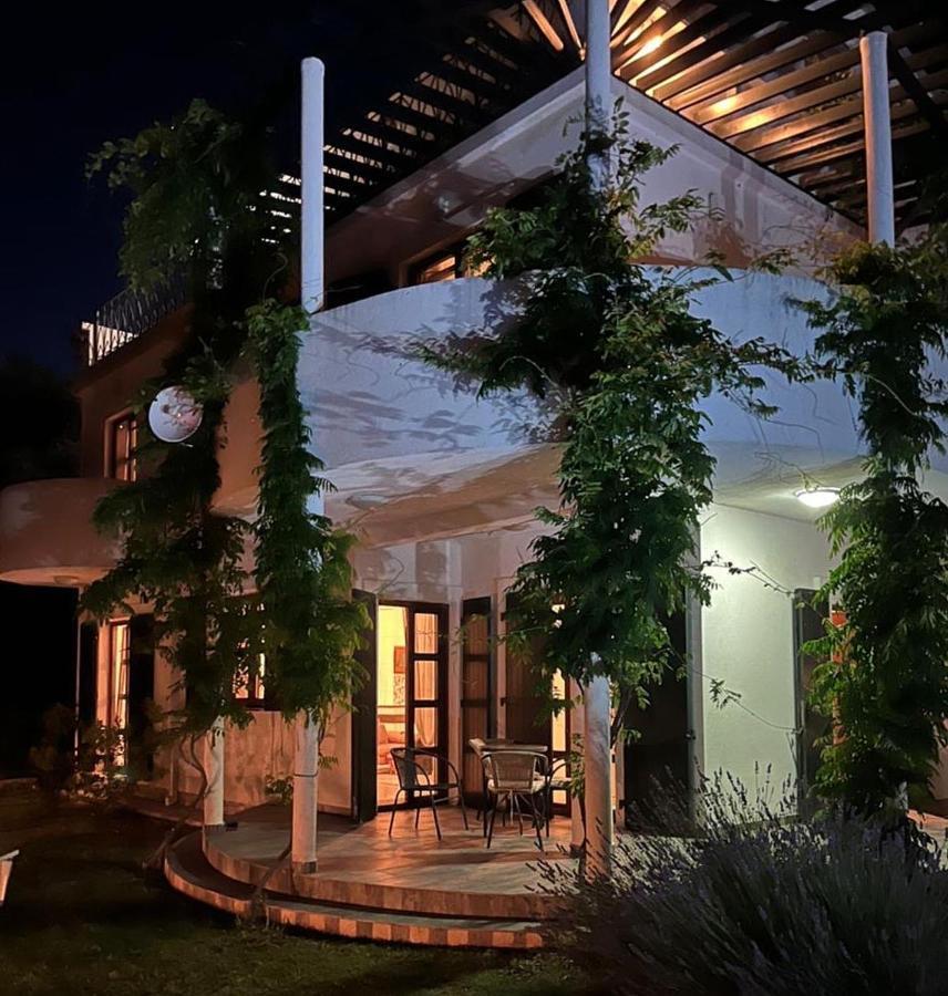 Green Villa In Olives Бар Екстер'єр фото