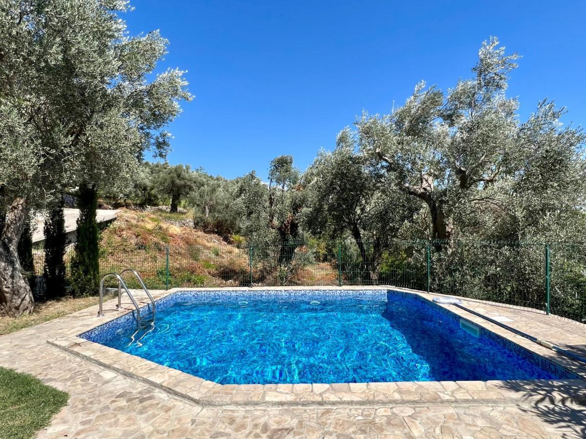 Green Villa In Olives Бар Екстер'єр фото