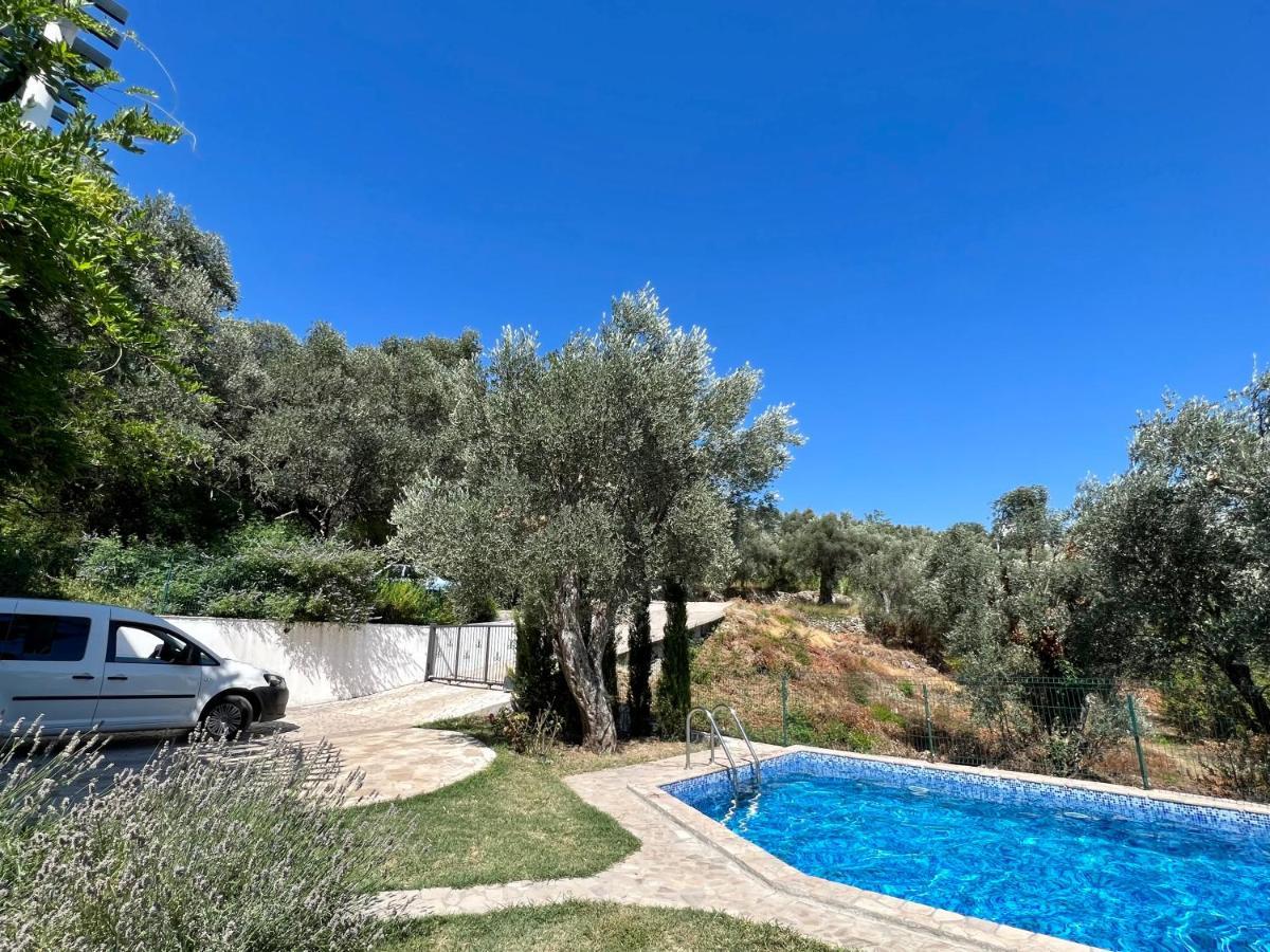 Green Villa In Olives Бар Екстер'єр фото
