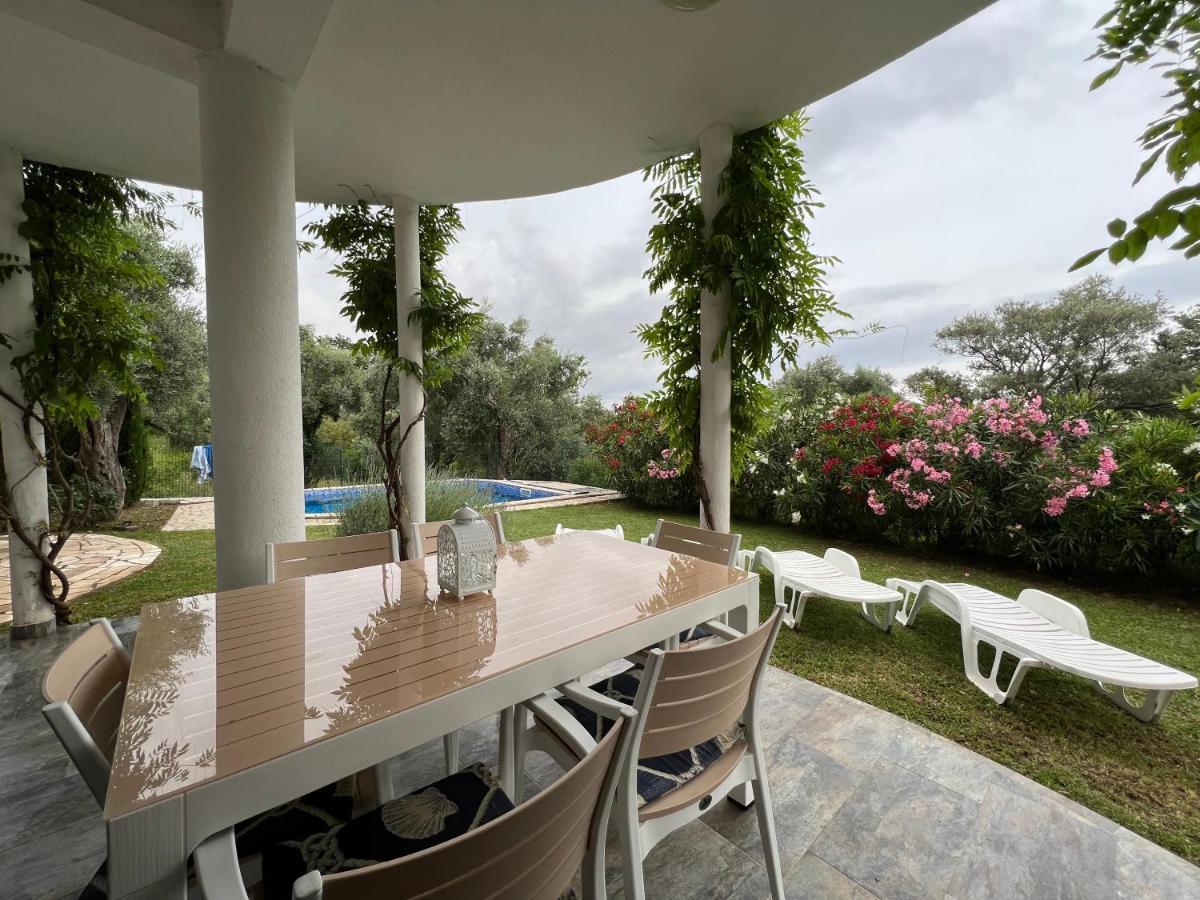 Green Villa In Olives Бар Екстер'єр фото