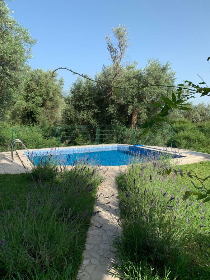Green Villa In Olives Бар Екстер'єр фото